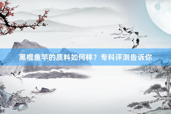 黑棍鱼竿的质料如何样？专科评测告诉你